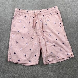 Tenth + Ocean Linen Shorts Mens Medium Pink Flamingo Embroidered F3X3205